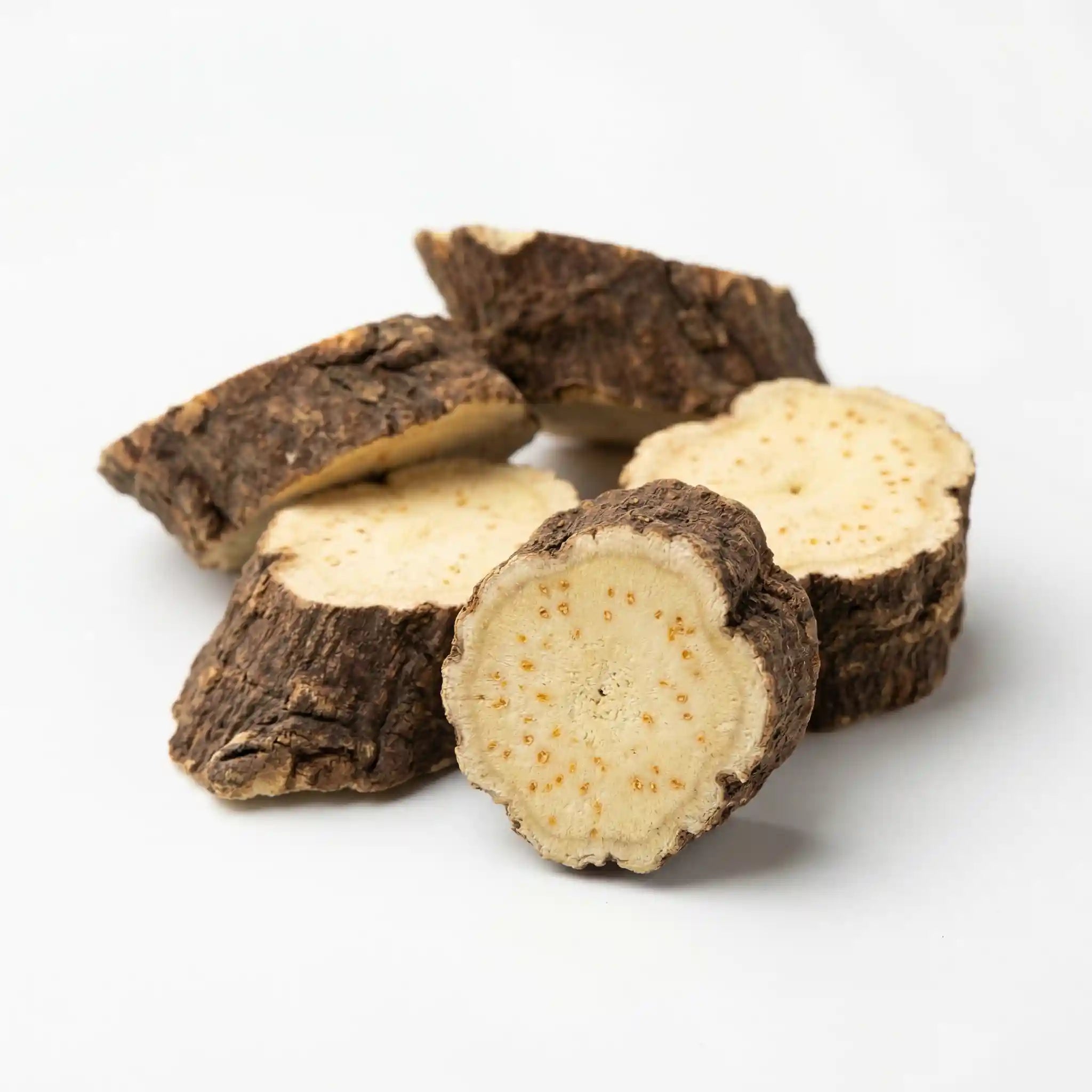 Atractylodes Root Extract