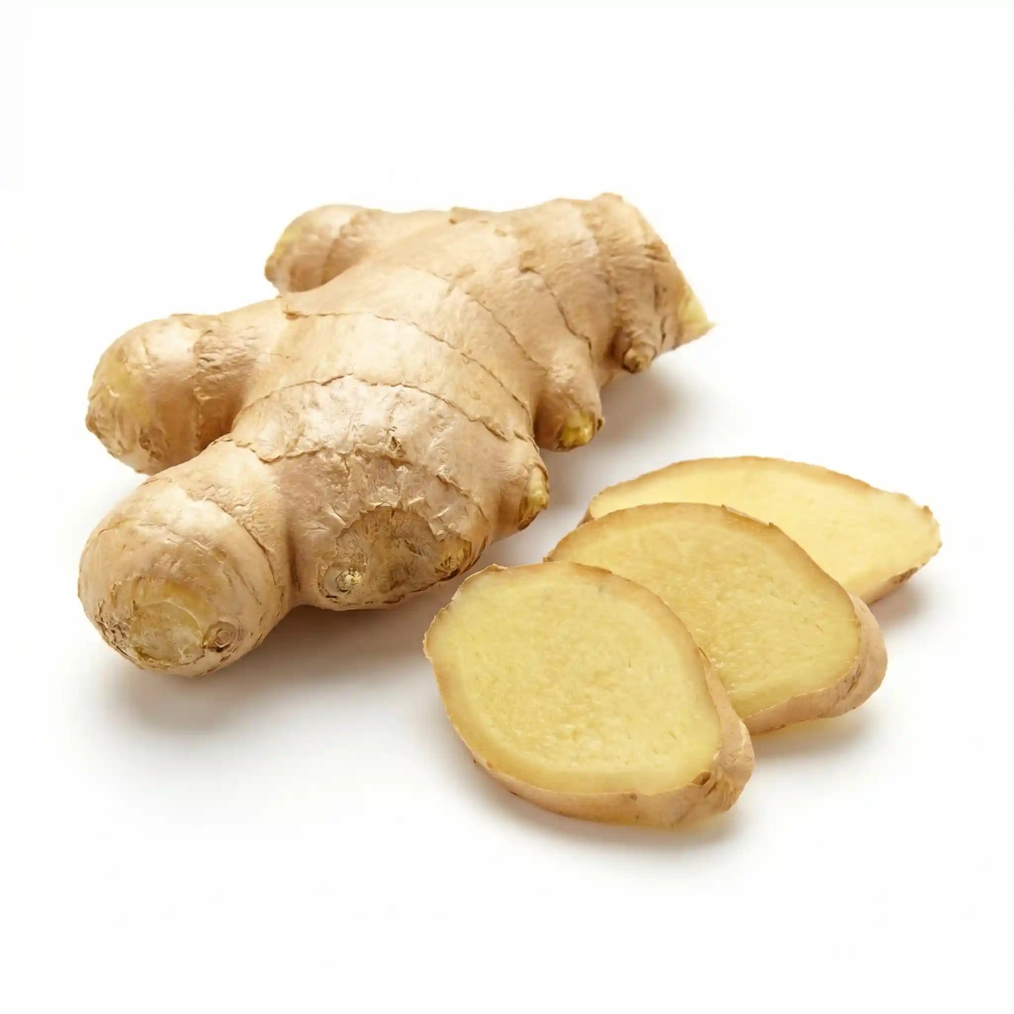 Ginger Root Extract