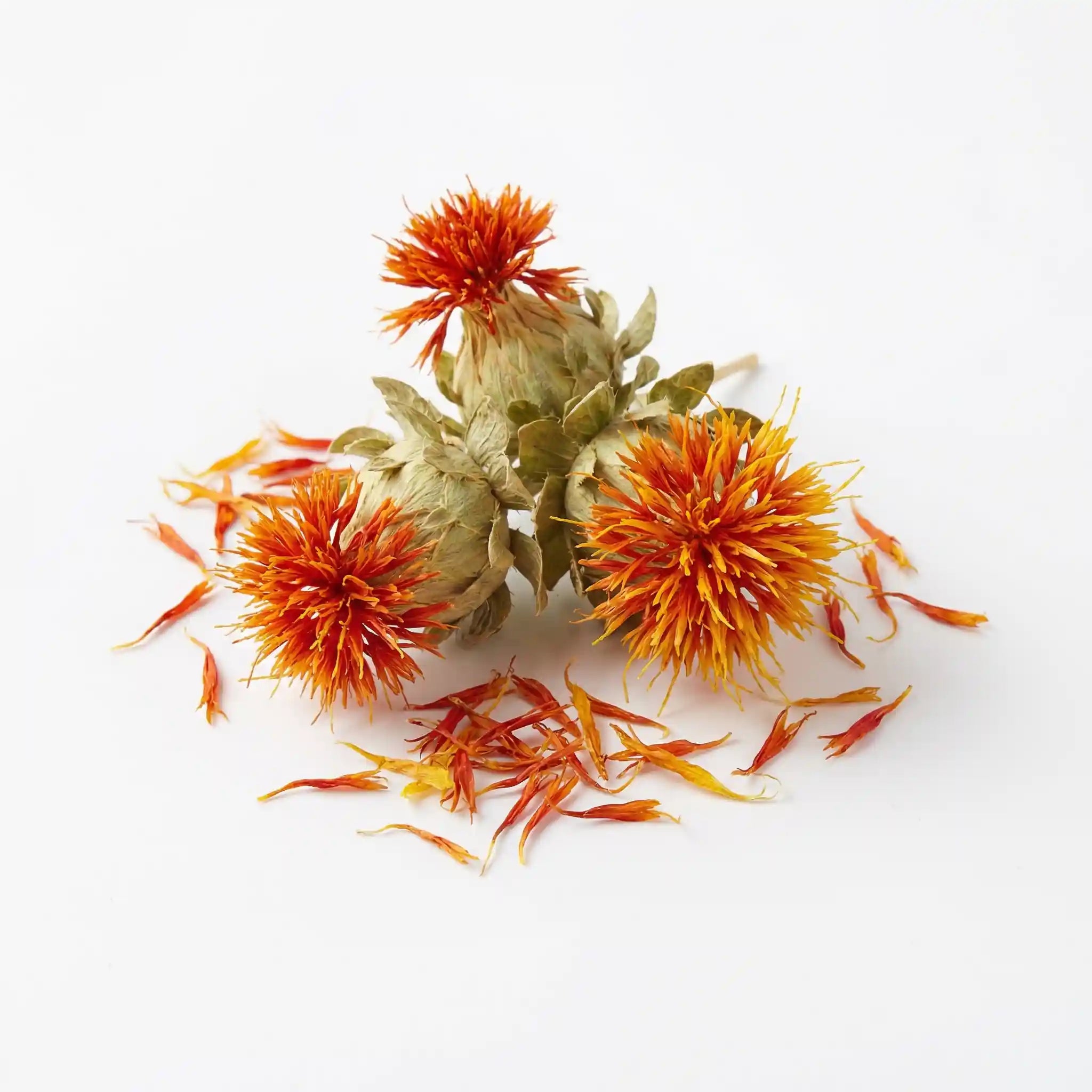 Safflower Flower Extract